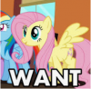 Fluttershy want pic.PNG